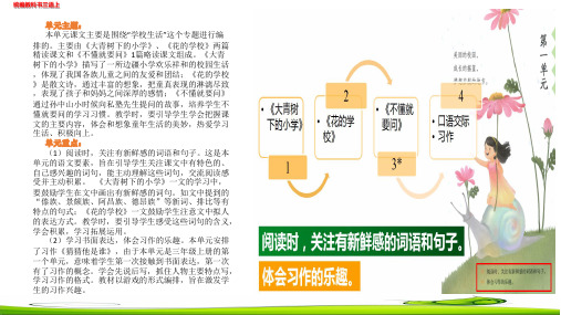 花的学校教学课件2课时新统编三年级语文上册