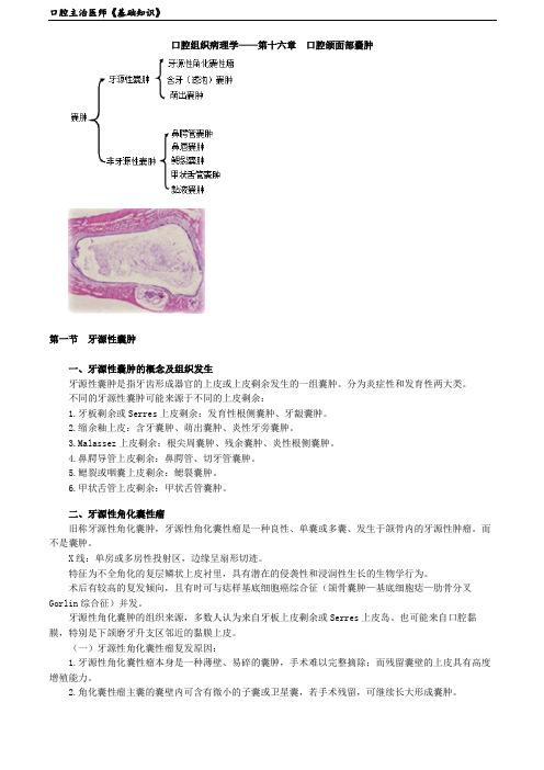 口腔主治医师《基础知识》1601