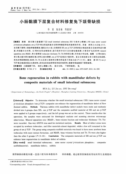 小肠黏膜下层复合材料修复兔下颌骨缺损
