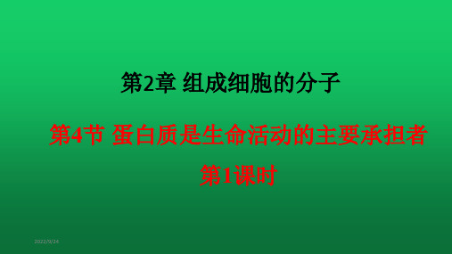 【课件】蛋白质是生命活动的主要承担者课件-2022-2023学年高一上生物人教版(2019)必修1)