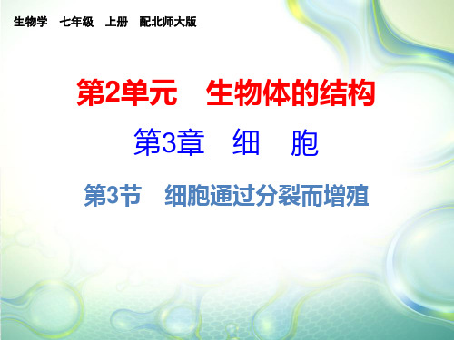 北师大版七年级上册生物第3章  第3节课件