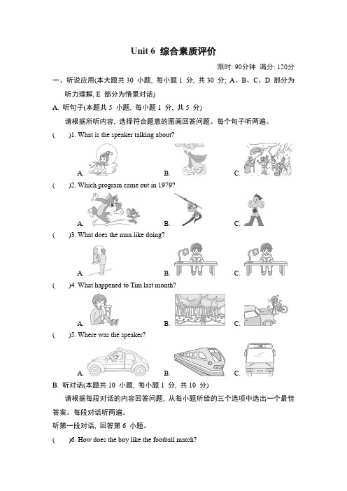 人教版英语九年级下册Unit 6 综合素质评价