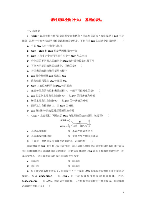 高考生物一轮复习 基因的表达课时跟踪检测 新人教版必