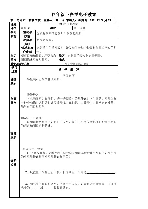 《我们来养蚕》优秀教案