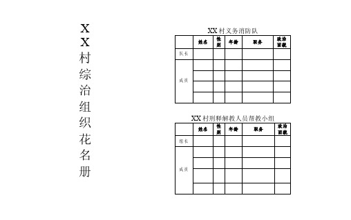 村级综治组织各类花名册