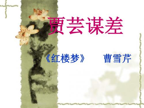 贾芸谋差PPT3 北师大版 (共22张PPT)