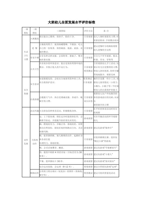 大班幼儿全面发展水平评价标准