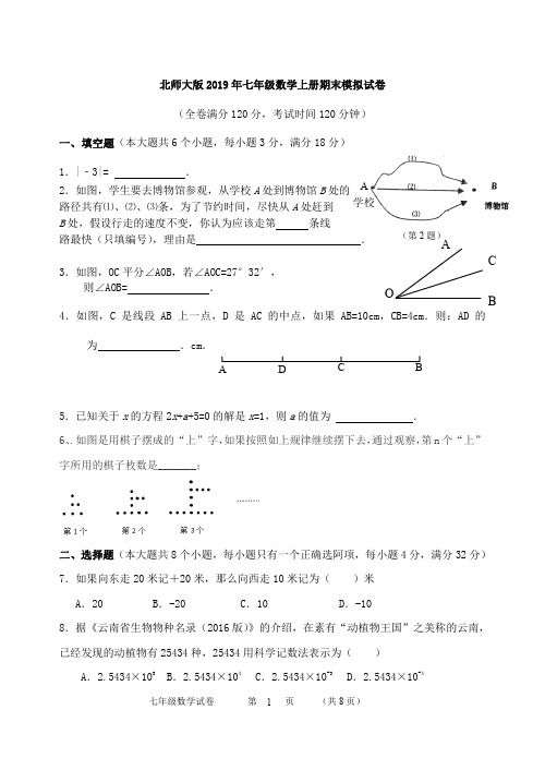 北师大版2019年七年级数学上册期末模拟试卷