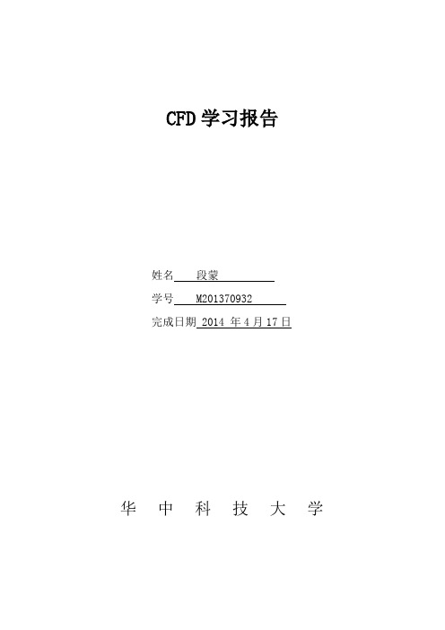 cfd学习报告