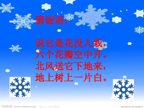 课文17雪地里的小画家ppt课件