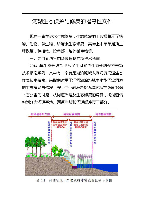 河流湖泊生态保护与修复的政策性原则和措施