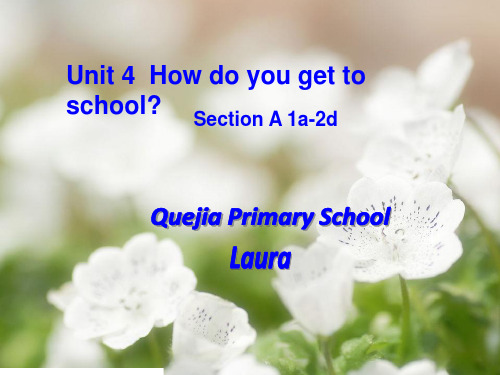 Unit 4 How do you get to school Section A 1a2cPPT课件