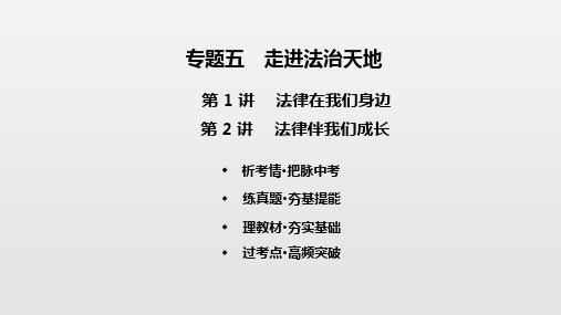 专题五 走进法治天地-2020届广东中考道德和法治二轮复习课件(共29张PPT)