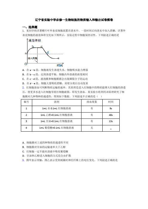 辽宁省实验中学必修一生物细胞的物质输入和输出试卷模卷