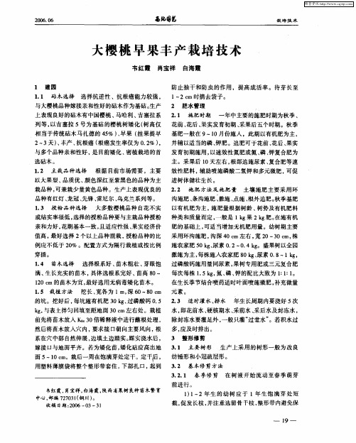 大樱桃早果丰产栽培技术