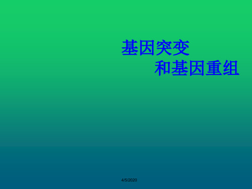 人教版高中生物必修二教学课件：5.1 基因突变和基因重组 (共35张PPT)