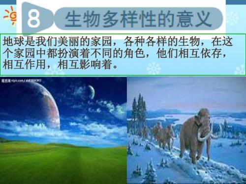 教科版科学六级上册《生物多样性的意义》PPT课件