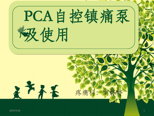 镇痛泵(PCA泵)及使用 刘PPT课件