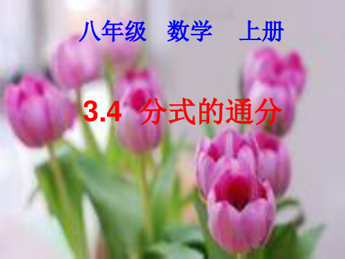 青岛版八年级数学3.4：分式的通分课件