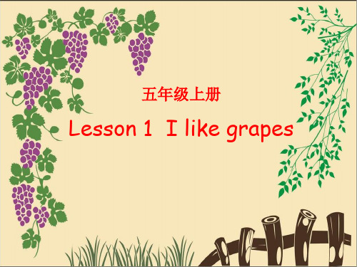 新接力版小学英语五年级下册精品Lesson 1  I like grapes 第二课时课件