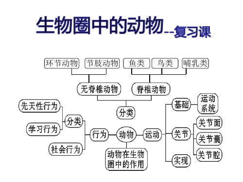 生物圈中的动物复习课