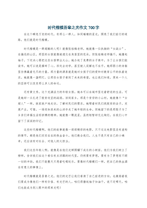 时代楷模吾辈之光作文700字