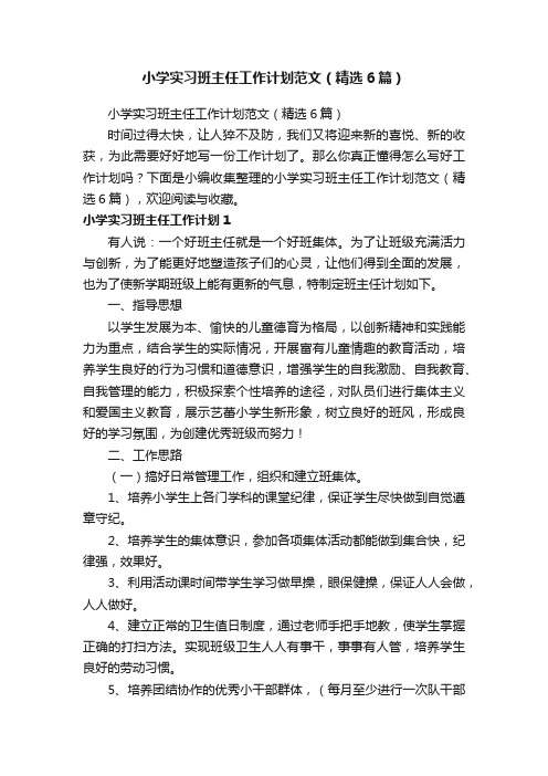 小学实习班主任工作计划范文（精选6篇）