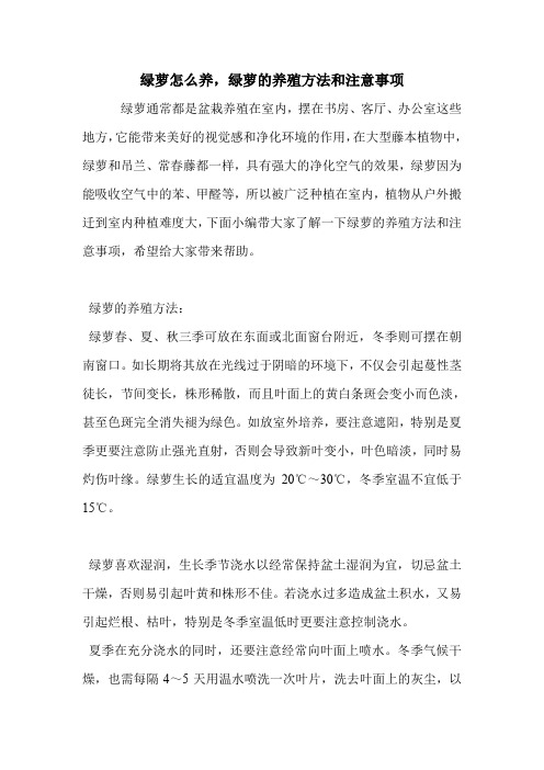 绿萝怎么养,绿萝的养殖方法和注意事项.doc