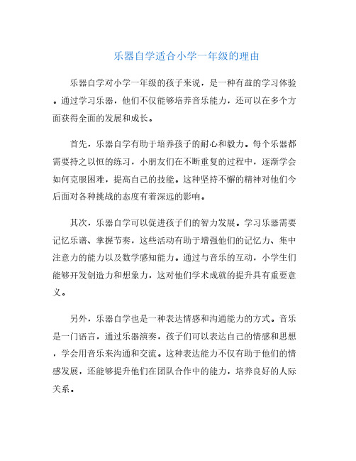 乐器自学适合小学一年级的理由