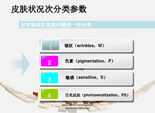 皮肤状况次分类参数