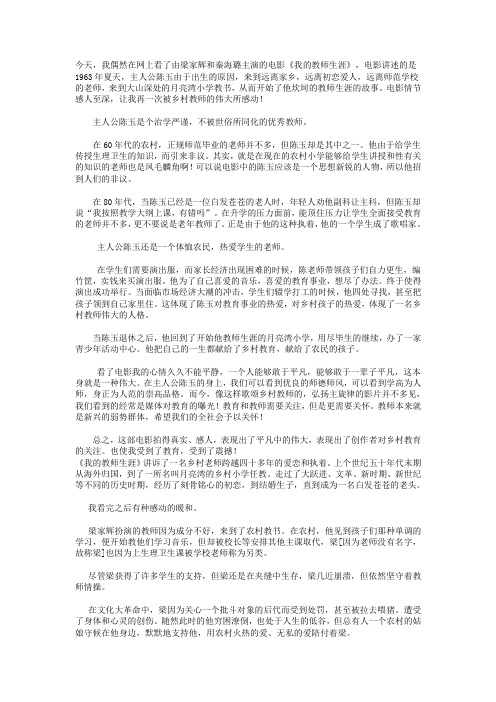 我的教师生涯观后感