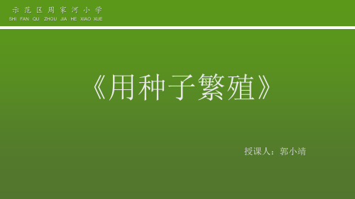 4《用种子繁殖》人教版四年级科学上册