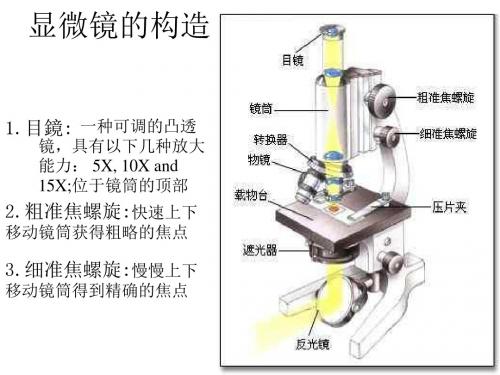 九年级科学显微镜的构造和使用方法