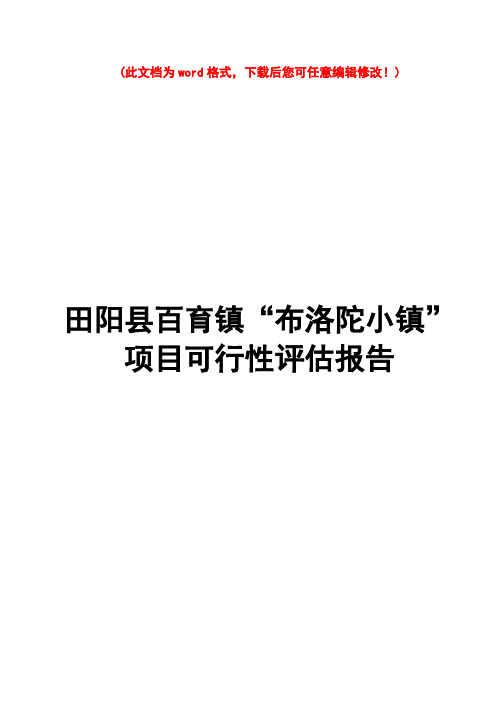 田阳县百育镇布洛陀小镇项目可行性评估报告(最终版)-20