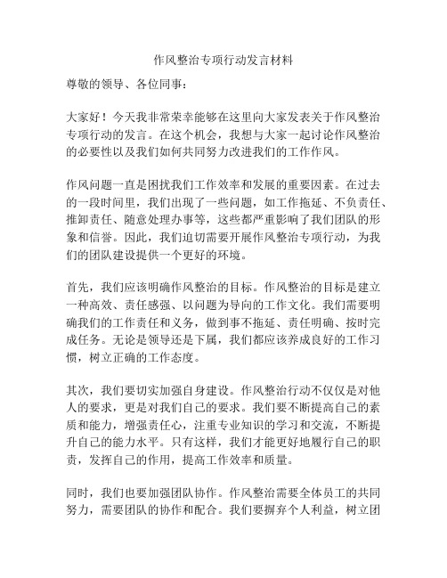 作风整治专项行动发言材料