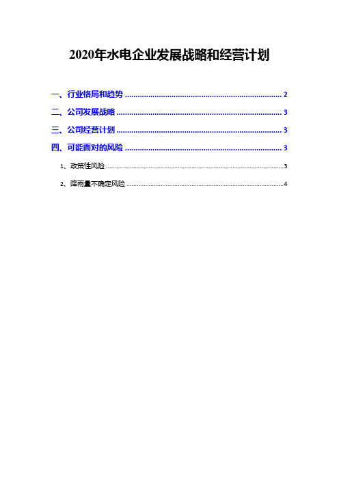 2020年水电企业发展战略和经营计划