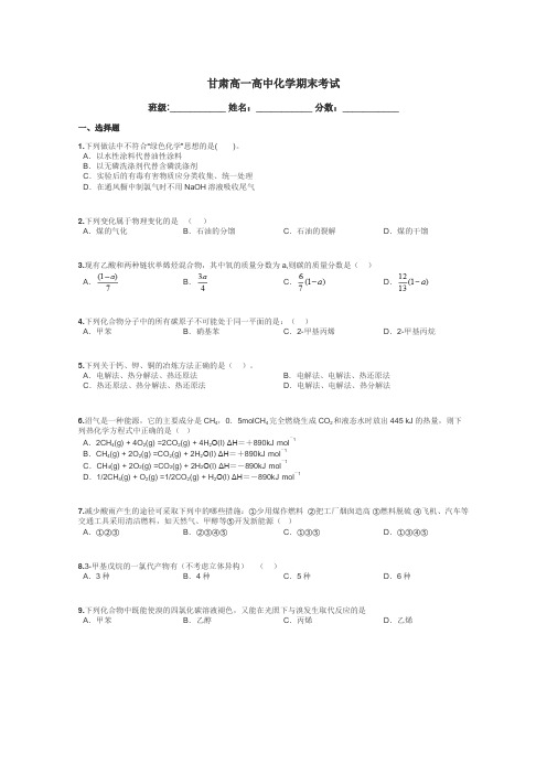 甘肃高一高中化学期末考试带答案解析
