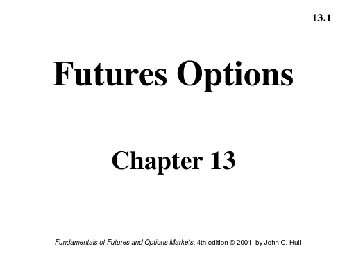 Ch13Futures Options(期权,期货和其他衍生物-第五版)