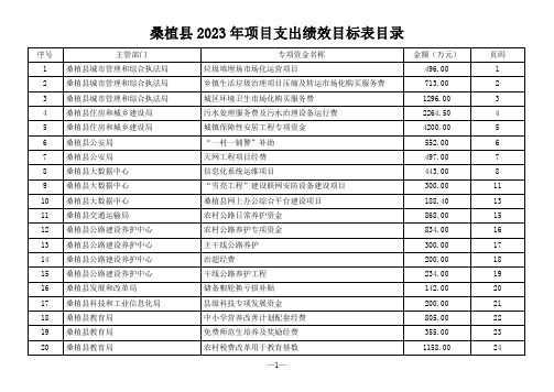 桑植县 2023 年项目支出绩效目标表目录