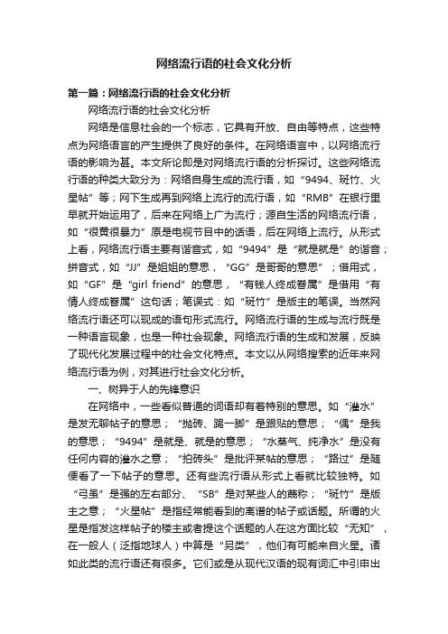 网络流行语的社会文化分析