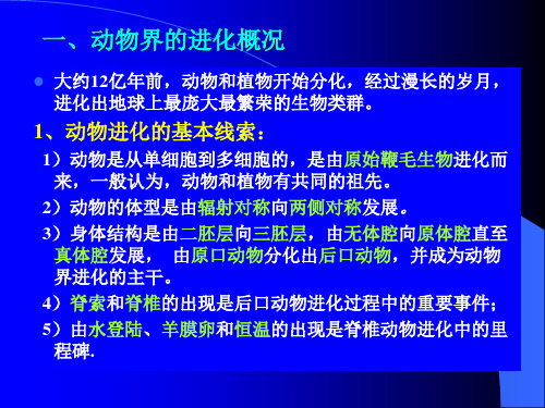 多细胞动物的起源