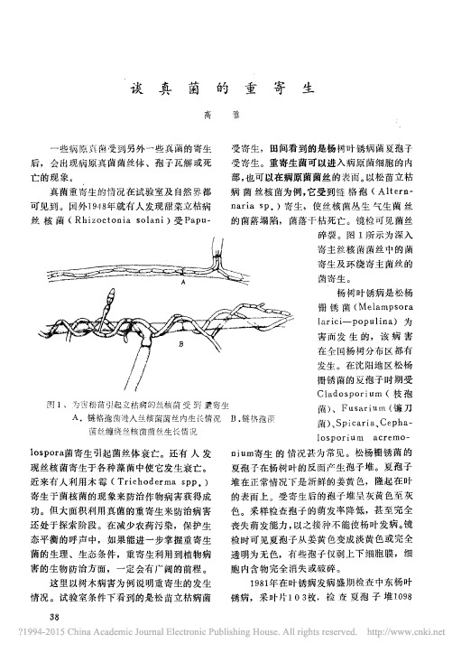 谈真菌的重寄生