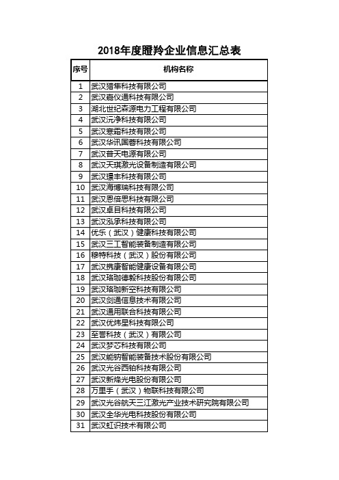 2018年度瞪羚企业信息汇总表