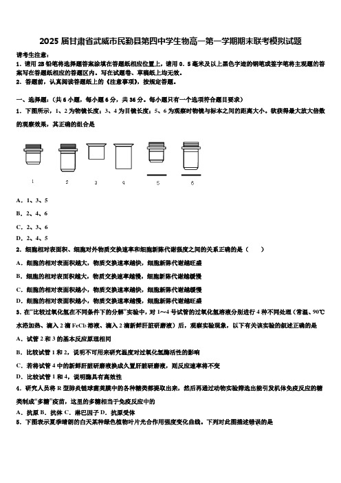 2025届甘肃省武威市民勤县第四中学生物高一第一学期期末联考模拟试题含解析