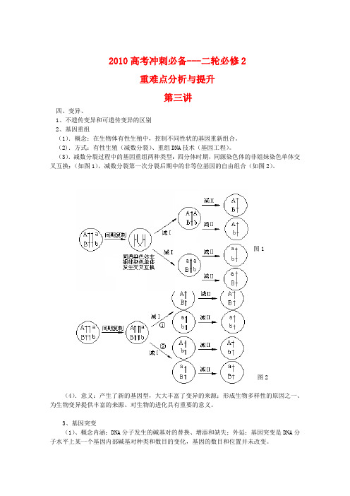 高三生物高考冲刺必备(三)(必修2)