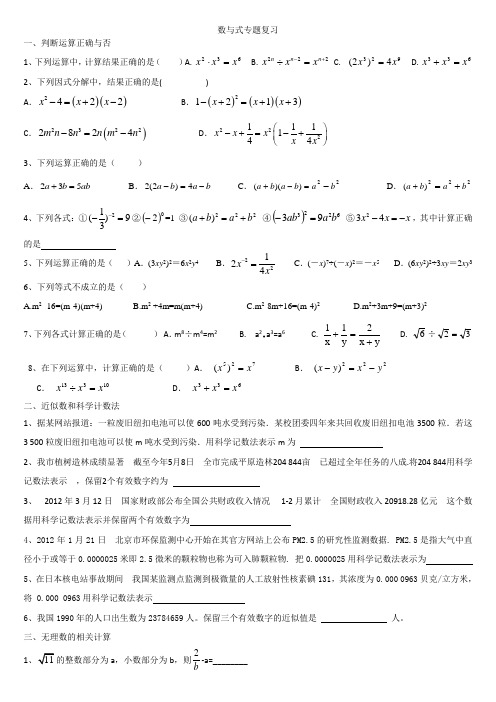 中考数学复习 数与式专题复习