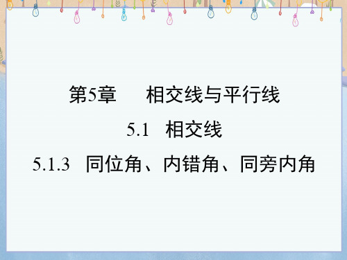 华师大版七年级上册数学《5-1-3 同位角、内错角、同旁内角》课件