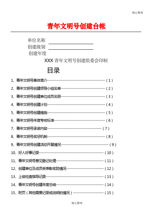 青年文明号创建台帐范本