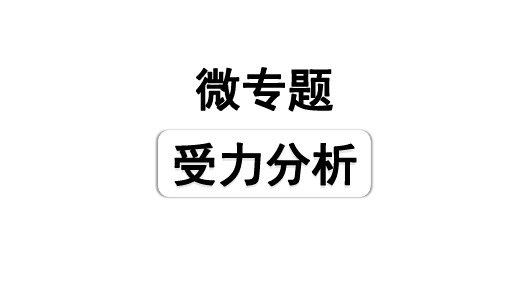 2024山东中考物理二轮重点专题研究 微专题 受力分析(课件)