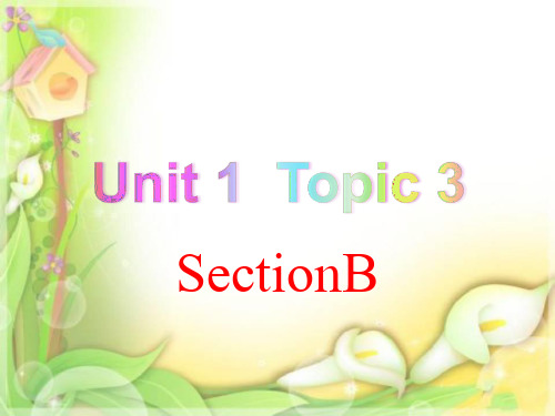 仁爱英语九年级上册课件 Unit 1 Topic 3 section B